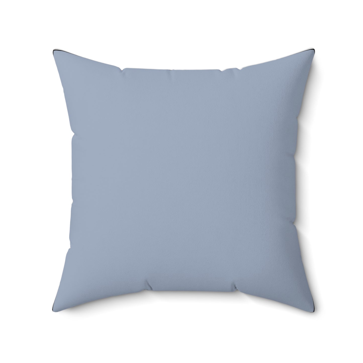 Butterfly Accent Pillow