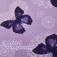 Purple Butterflies 3 Piece Bedding Quilt Set